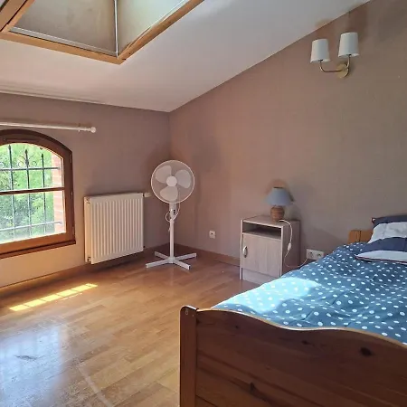 Avec Piscine Et Clim Pour 12 Personnes Aux Portes De Toulouse 度假居 *